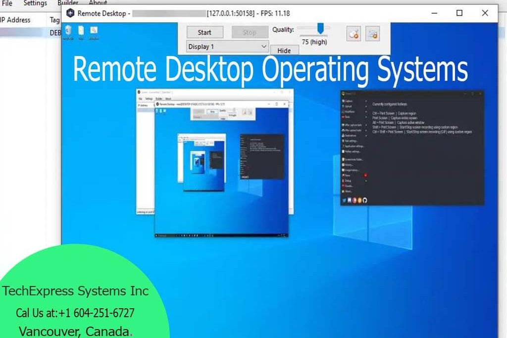 Remote Desktop Operating Systems